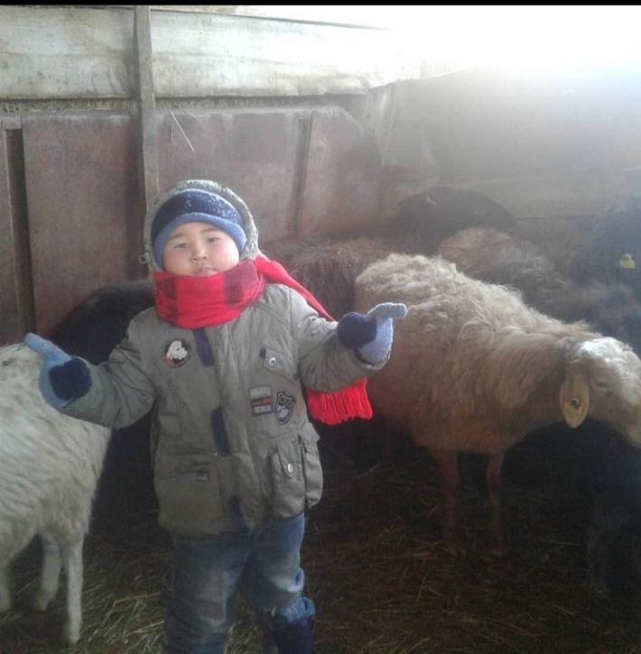 ФОТО -КОНКУРС ко ДНЮ СЕМЬИ  "Менің отбасымның үй жануарлары-Домашние питомцы моей семьи"