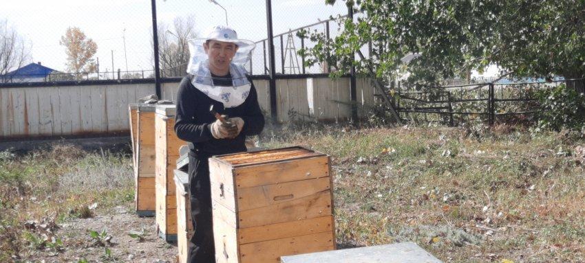 Омарташылық. Откачка мёда. Дағыстан А.Д.