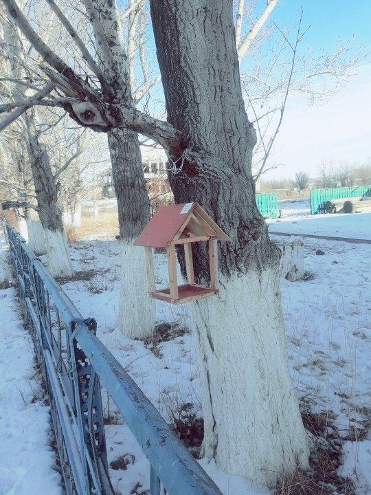 акция СИНИЧКИН ДЕНЬ