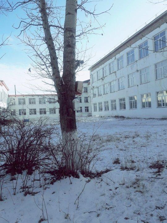 акция СИНИЧКИН ДЕНЬ