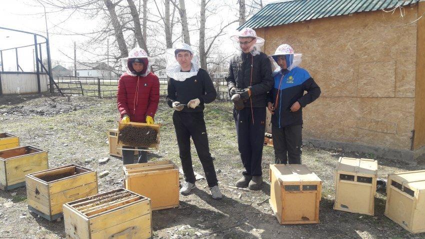 ОМАРТАШЫЛЫҚ